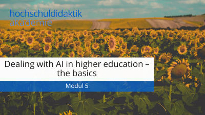In this module, you will learn about three key components for dealing with AI tools in university teaching.